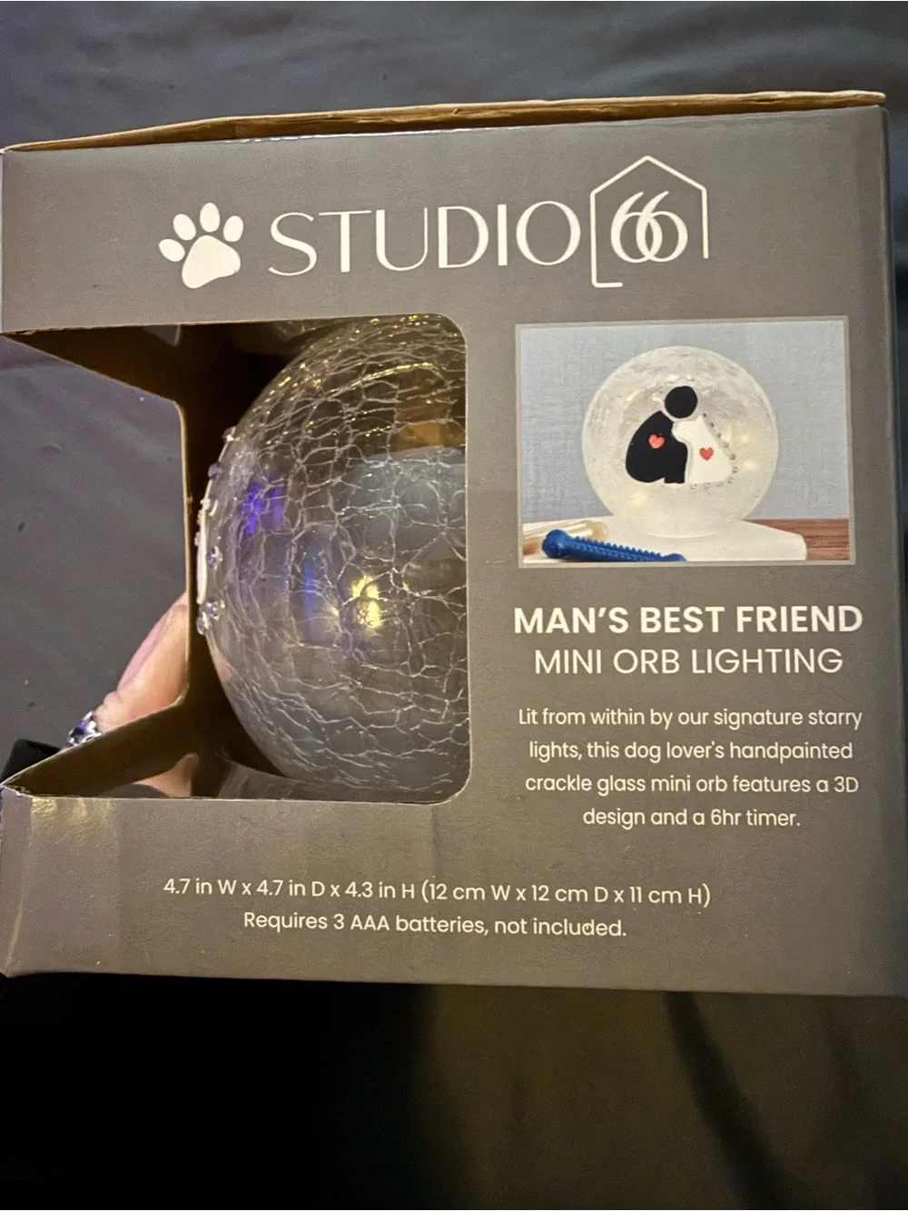 Studio Man's Best Friend Crackle Glass Mini Orb Lantern - White - Picture 4 of 4